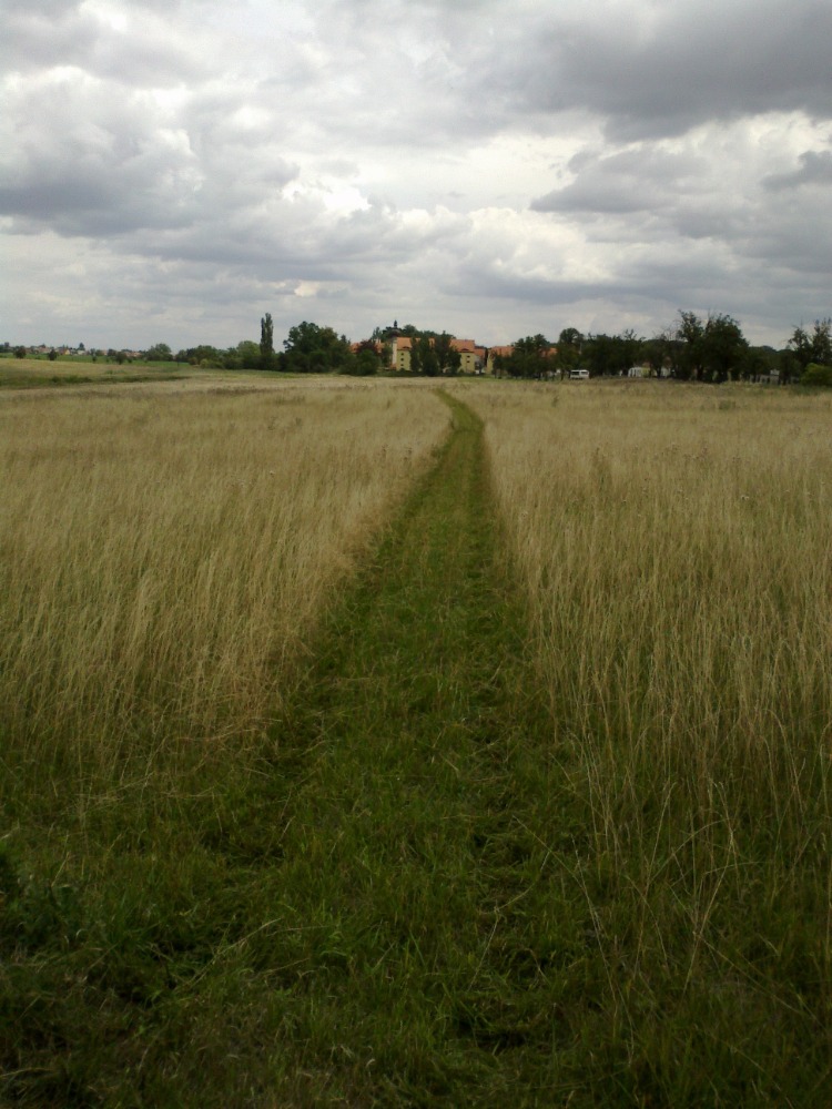 Sekání trávy